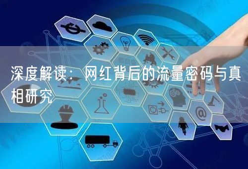深度解读：网红背后的流量密码与真相研究