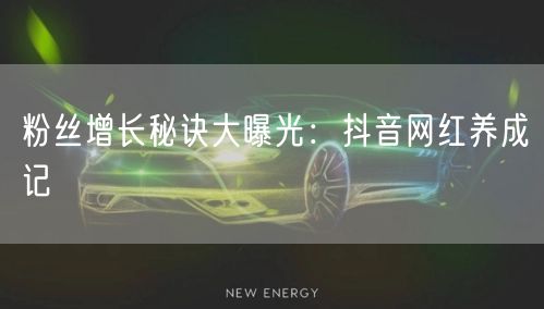 粉丝增长秘诀大曝光：抖音网红养成记