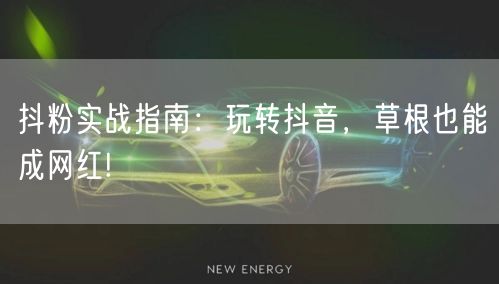 抖粉实战指南：玩转抖音，草根也能成网红!
