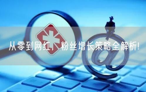 从零到网红，粉丝增长策略全解析!