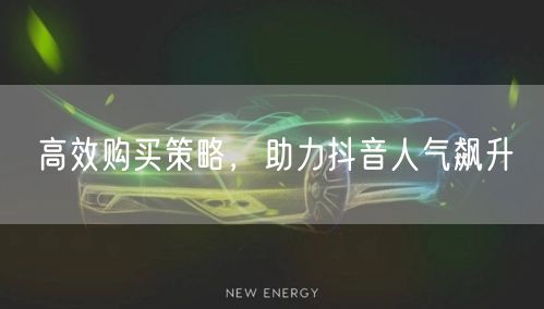 高效购买策略，助力抖音人气飙升