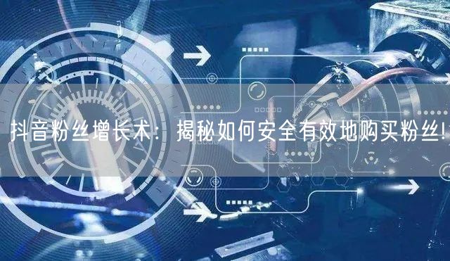 抖音粉丝增长术：揭秘如何安全有效地购买粉丝!