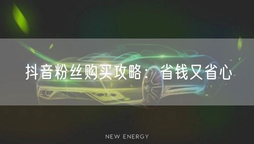 抖音粉丝购买攻略：省钱又省心