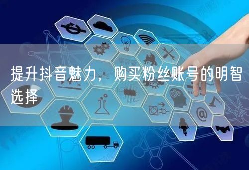 提升抖音魅力，购买粉丝账号的明智选择