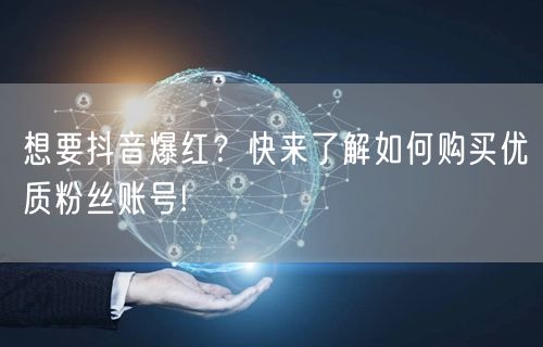想要抖音爆红？快来了解如何购买优质粉丝账号!