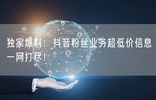 独家爆料：抖音粉丝业务超低价信息一网打尽！