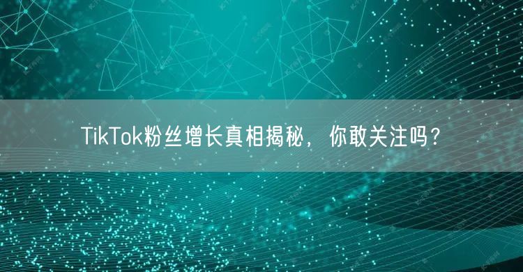 TikTok粉丝增长真相揭秘，你敢关注吗？