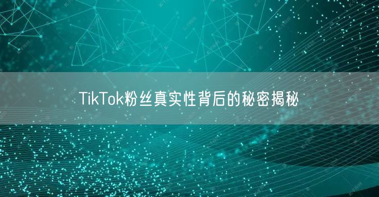 TikTok粉丝真实性背后的秘密揭秘