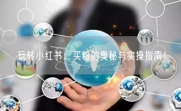 玩转小红书：买粉的奥秘与实操指南！