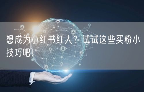 想成为小红书红人？试试这些买粉小技巧吧！