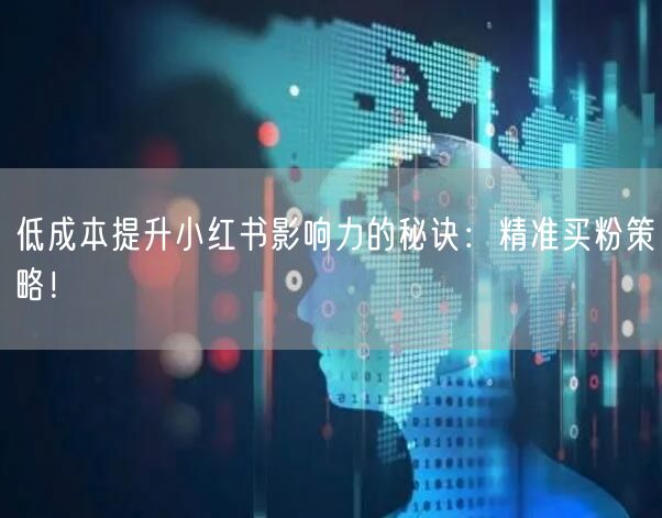 低成本提升小红书影响力的秘诀：精准买粉策略！