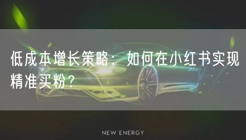 低成本增长策略：如何在小红书实现精准买粉？