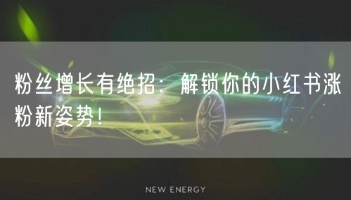 粉丝增长有绝招：解锁你的小红书涨粉新姿势！