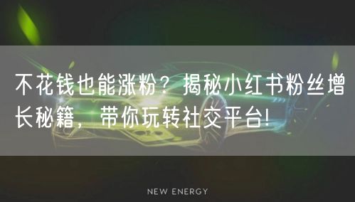 不花钱也能涨粉？揭秘小红书粉丝增长秘籍，带你玩转社交平台!