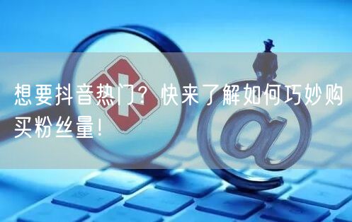 想要抖音热门？快来了解如何巧妙购买粉丝量！