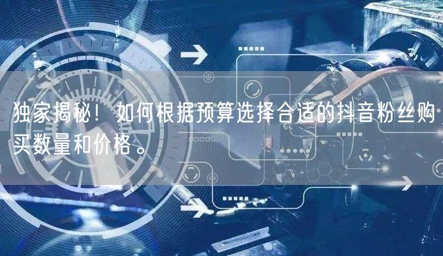 独家揭秘！如何根据预算选择合适的抖音粉丝购买数量和价格。
