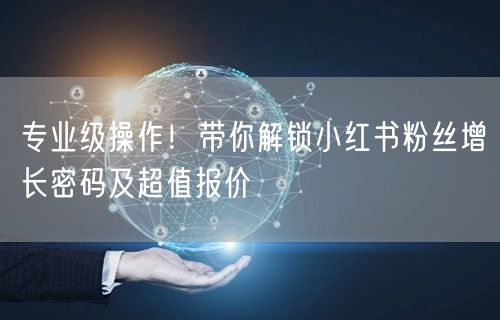专业级操作！带你解锁小红书粉丝增长密码及超值报价