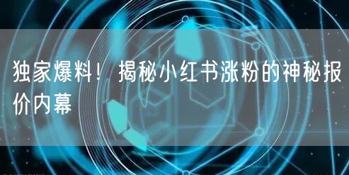 独家爆料！揭秘小红书涨粉的神秘报价内幕
