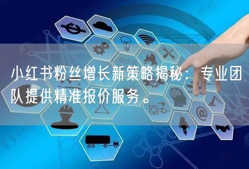 小红书粉丝增长新策略揭秘：专业团队提供精准报价服务。