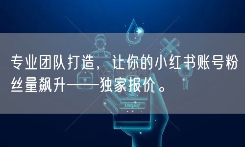 专业团队打造，让你的小红书账号粉丝量飙升——独家报价。