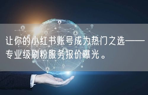 让你的小红书账号成为热门之选——专业级刷粉服务报价曝光。