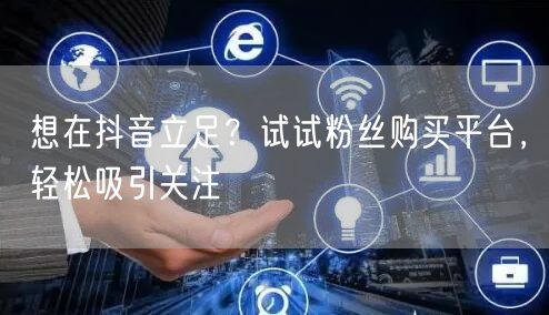 想在抖音立足？试试粉丝购买平台，轻松吸引关注